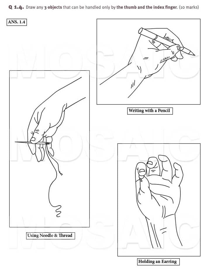 5 Tips for Sketching in CEED NID and NIFT exams  Designerrs Academy